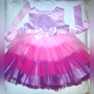 Pink Ruffle Party Dress Size 18m